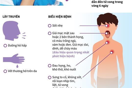  Tin tức - Sự kiện mới