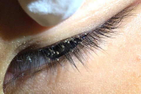  Tin tức - Sự kiện mới