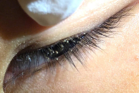  Tin tức - Sự kiện mới